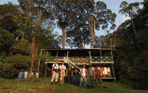 Nepenthes Camp